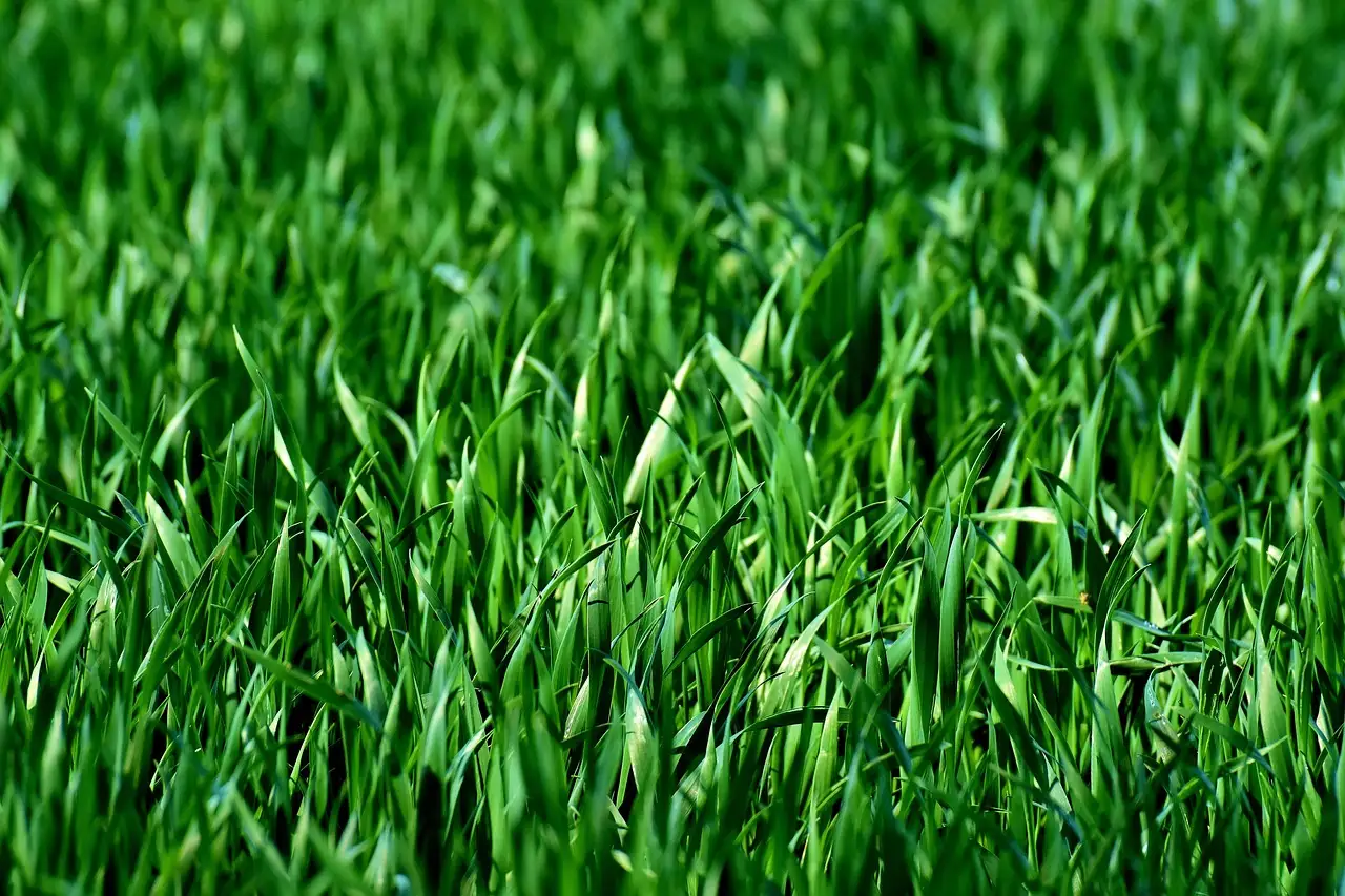Hero Background