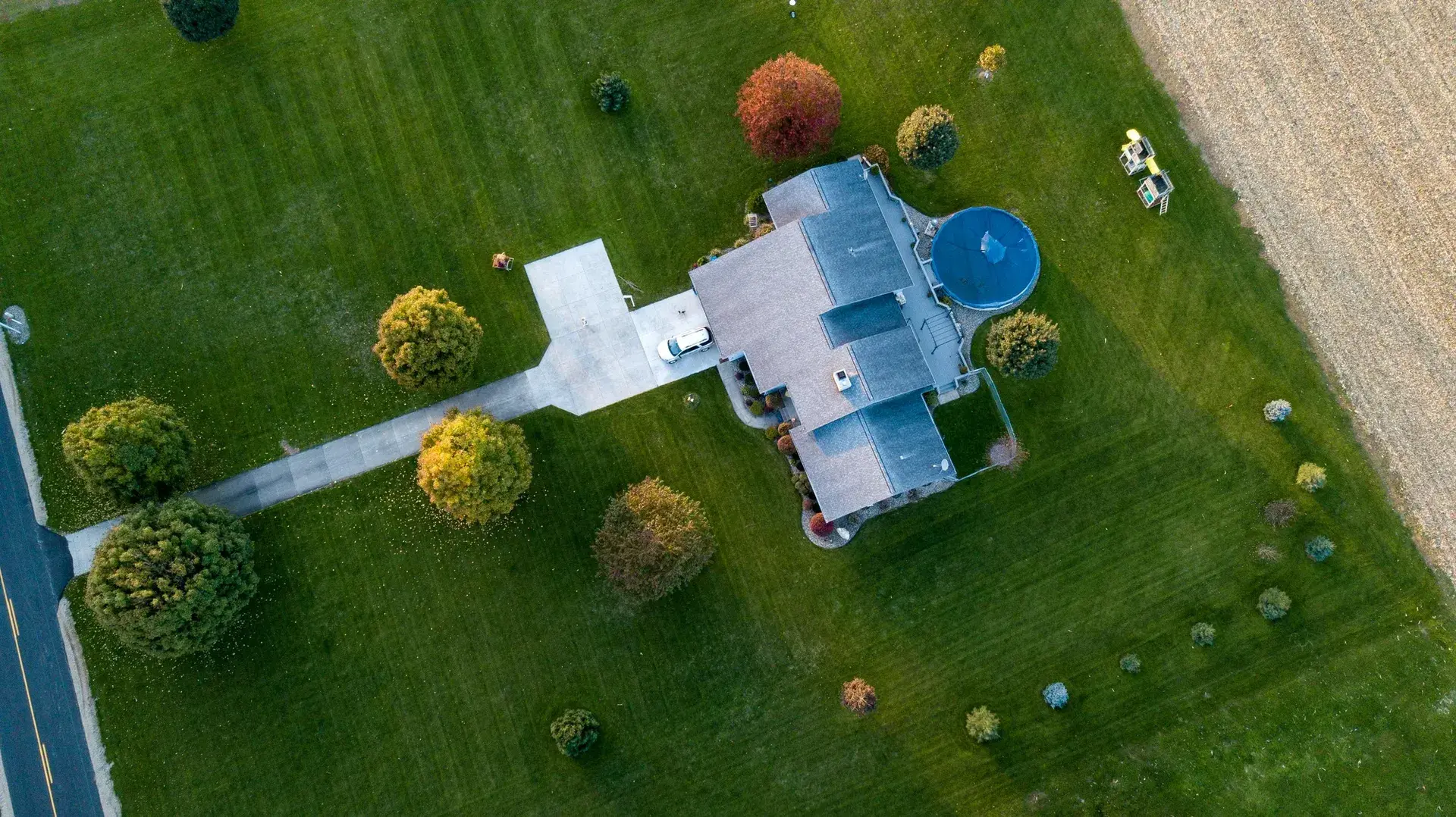 Tree Service